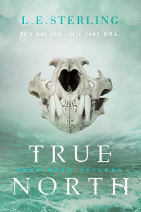 cover of true north (novel)